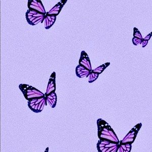 Meet your Posher, Makenna